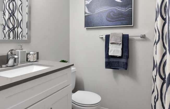 a bathroom with a sink and a toilet and a towel rack and a shower curtain