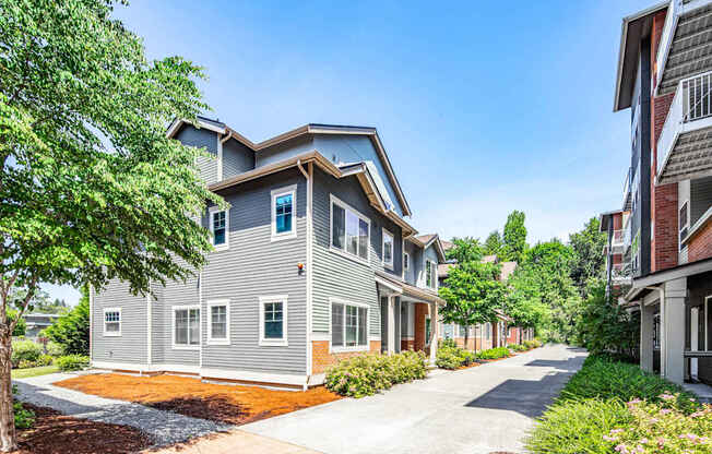 A residential area with a house and a driveway.