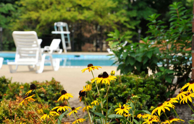 Scenic Outdoor Swimming Pool at Eastgate Woods Apartments, Batavia, OH