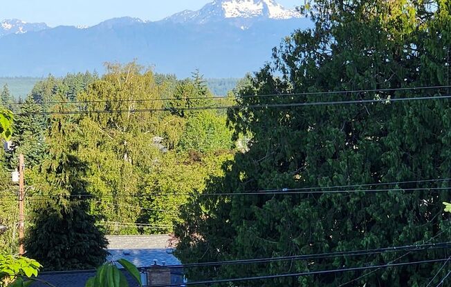 Beautiful East Bremerton Home with a View