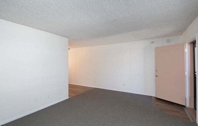 2 beds, 1 bath, 921 sqft, $2,595, Unit 203