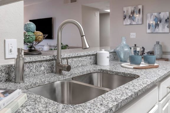 granite countertop with double stainless steel sink and gooseneck faucet with built in sprayer at Preserve at Cedar River Apartments, Jacksonville, FL, 32210