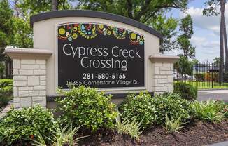 Cypress Creek