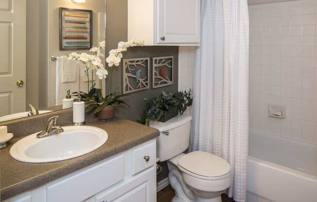 a bathroom with a sink toilet and bathtub