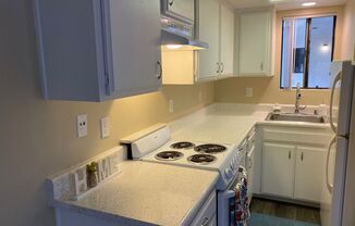 1 bed, 1 bath, 385 sqft, $1,800, Unit 2