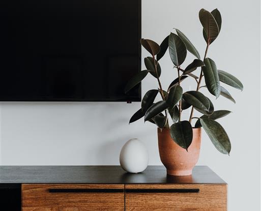 a potted plant sitting on top of a wooden dresser