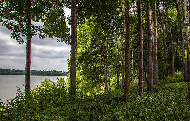 lake views