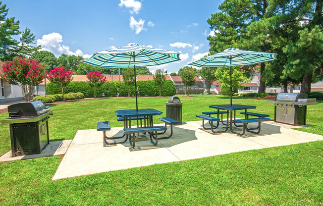 Outdoor Grilling/Picnic Area