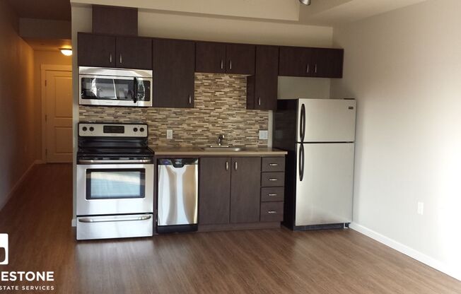 Studio, 1 bath, 515 sqft, $1,175, Unit 303