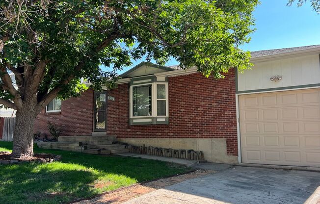 Newly Remodeled 3 Bed Home in Arvada