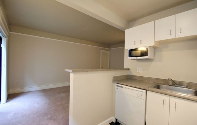 Studio, 1 bath, 423 sqft, $1,150, Unit 116
