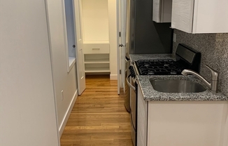 Studio, 1 bath, $1,495, Unit 1