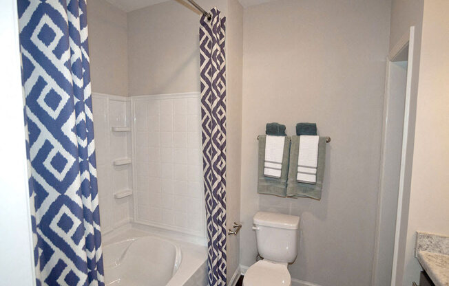 Bathroom With Bathtub at Ansley at Roberts Lake, Arden, North Carolina