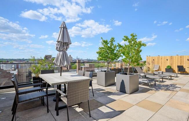 264 WEBSTER AVE