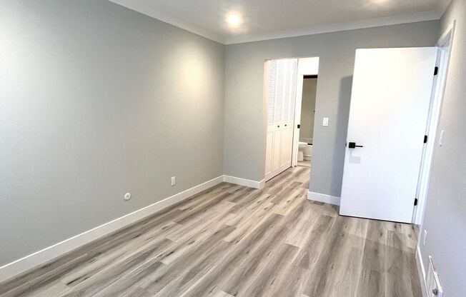 1 bed, 1 bath, 595 sqft, $2,895, Unit 305