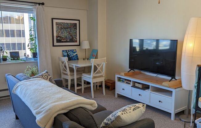Studio, 1 bath, 431 sqft, $2,600, Unit 1503