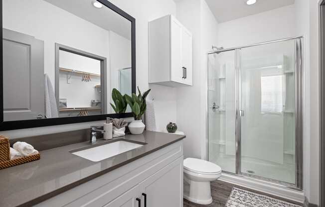 a bathroom with a large mirror and a toilet and a shower