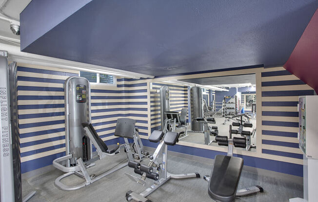 Weightlifting equipment in the fitness center