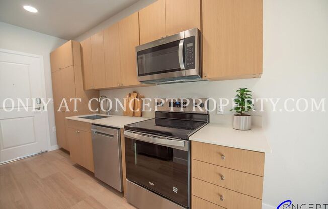 Studio, 1 bath, 300 sqft, $1,399, Unit 1-223
