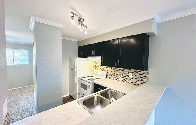 Studio, 1 bath, 500 sqft, $795, Unit 219