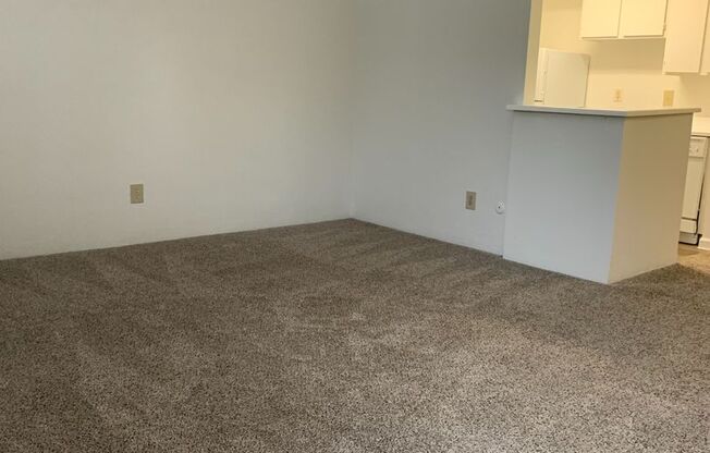 1 bed, 1 bath, 640 sqft, $885, Unit 1502