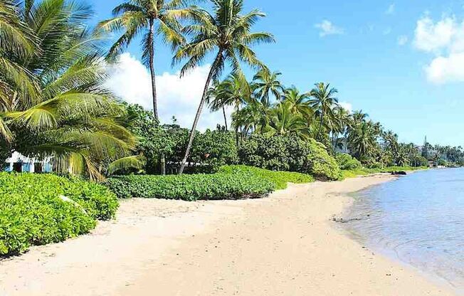 5bd/3ba Private Island Retreat Home w/ A/C & Ocean Views. Hale Poola