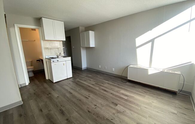 Studio, 1 bath, $675, Unit #139