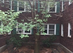 1 bed, 1 bath, $1,149, Unit 2228 W Allen Street - 4B