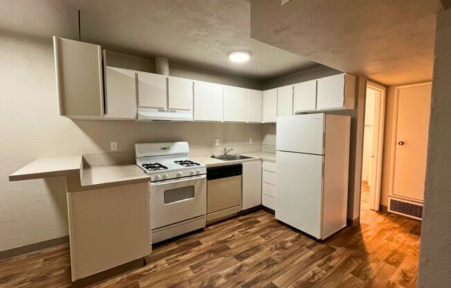 1 bed, 1 bath, 560 sqft, $1,300, Unit 15