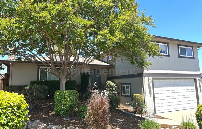 Spacious 4 Bed / 2.5 Bath / 2,106 Sqft Martinez house available now!