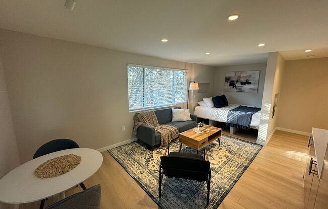 McKinnley Apartments - Luxury Studios!