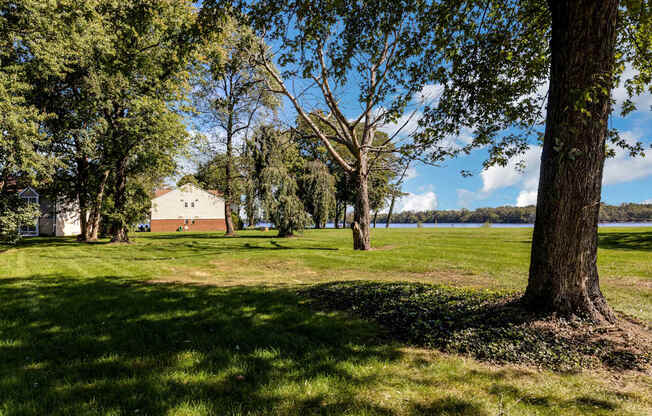 a park with trees and a house near the water