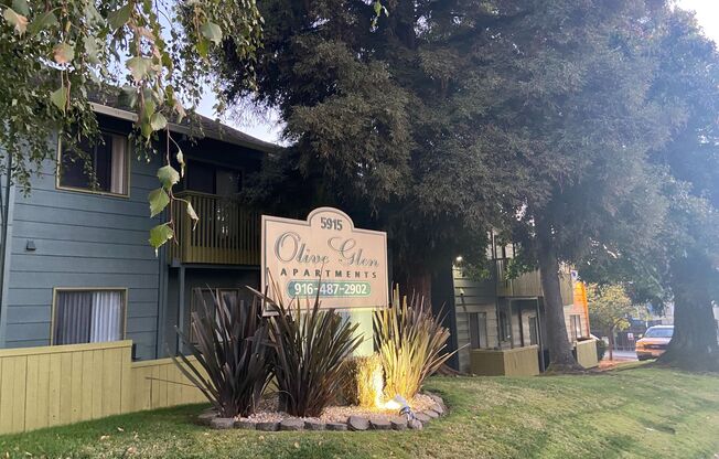 1 bed, 1 bath, $1,325, Unit 56