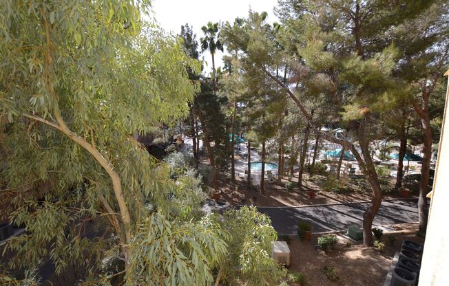 1 bed, 1 bath, $1,795, Unit # 229