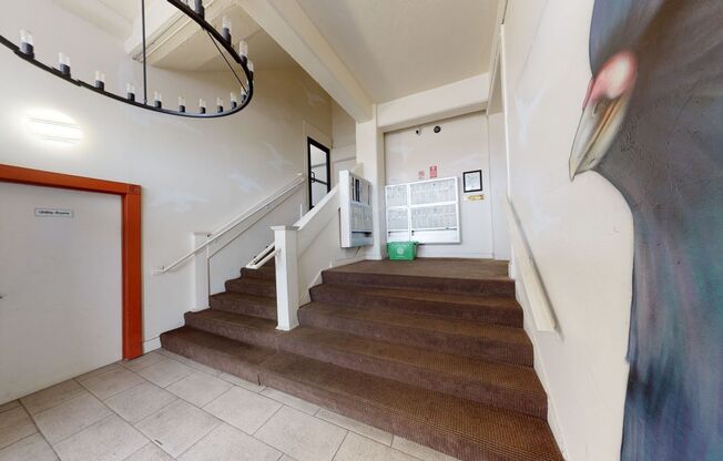 Studio, 1 bath, 264 sqft, $1,495, Unit #217