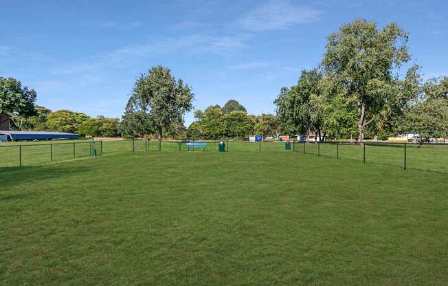 A grassy field with trees and a fence in the distance.