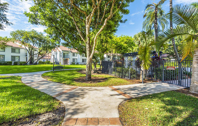 A tree in a grassy area with a pathway leading to a building.