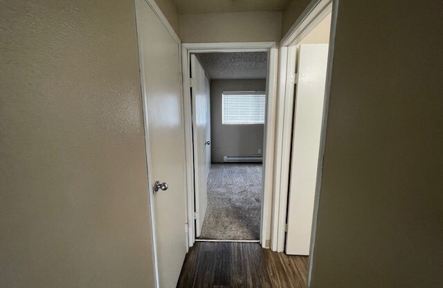 1 bed, 1 bath, 650 sqft, $1,237