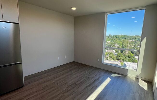 Studio, 1 bath, 295 sqft, $1,495, Unit 702