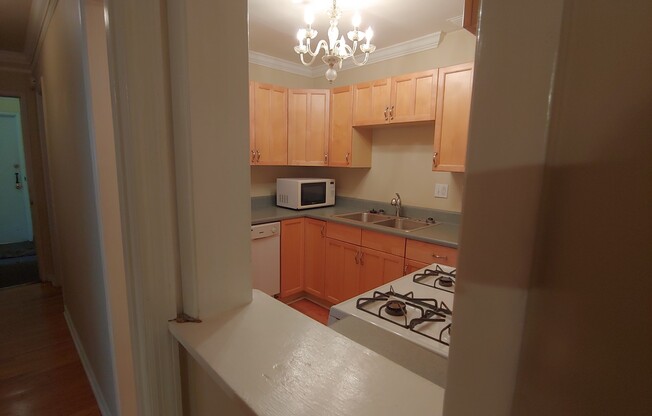 1 bed, 1 bath, 700 sqft, $1,295, Unit Apt 3