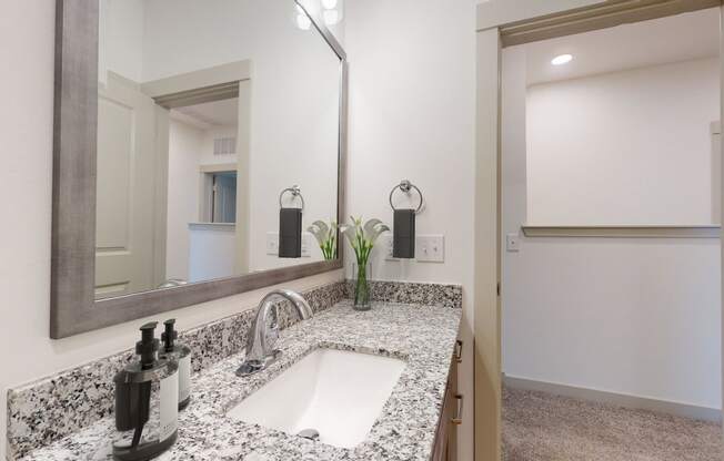 a bathroom with a sink and a mirror