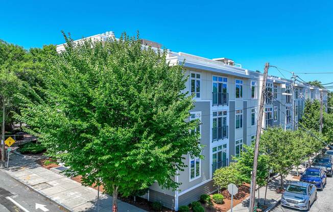 Exterior shot of the building at 7 Cameron Apartments, Cambridge, MA