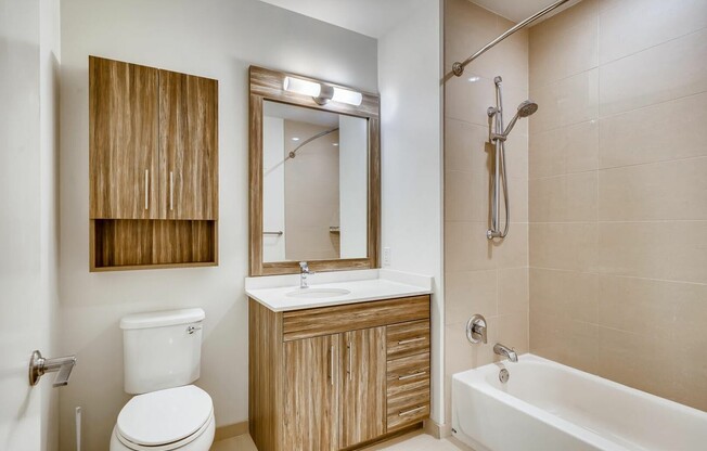 423 E Ohio St, Chicago IL 207