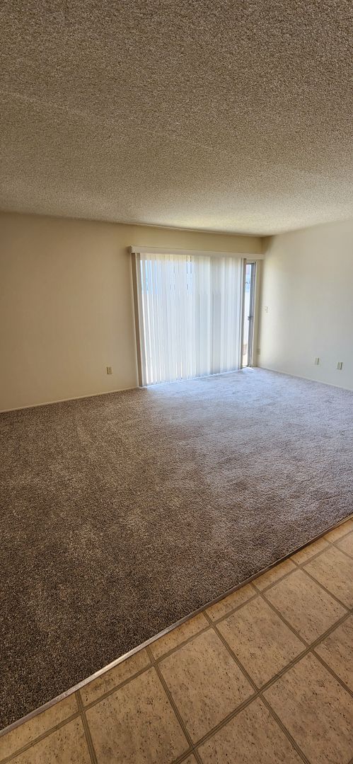 Beadnell Apartments - 1300R