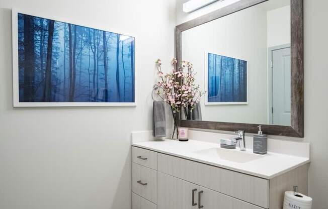A bathroom with a white counter and a mirror.