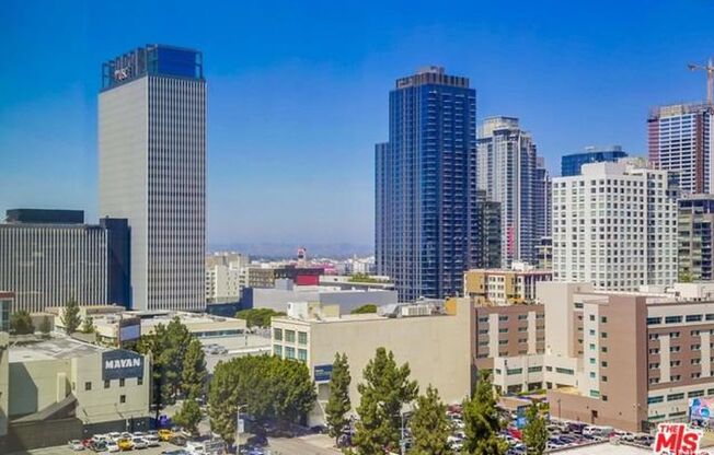 2 beds, 1 bath, 1,100 sqft, $3,100, Unit 306