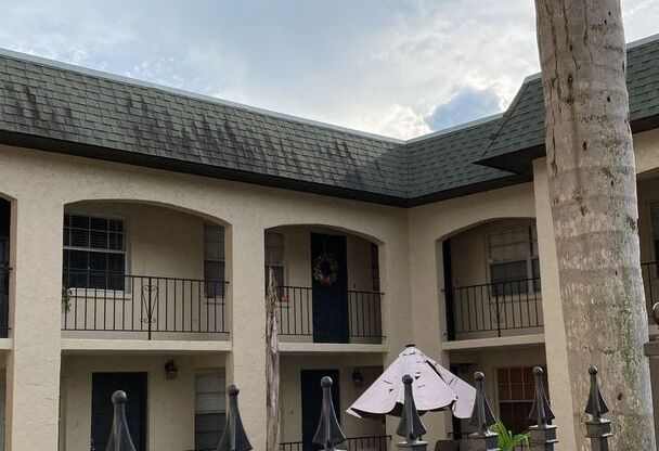 One Bedroom Rental in South Tampa!