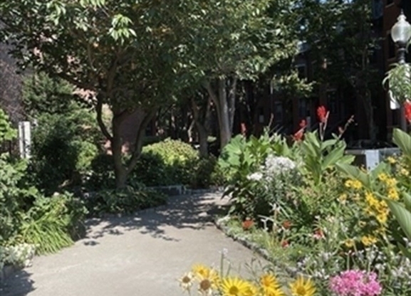 Studio, 1 bath, 419 sqft, $2,595, Unit B-3