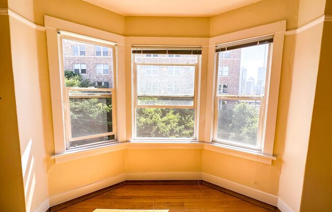 Studio, 1 bath, 450 sqft, $1,495, Unit 306