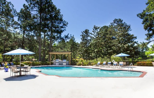 A pool surrounded by trees and umbrellas.
